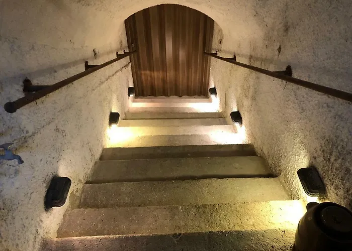 Vino *